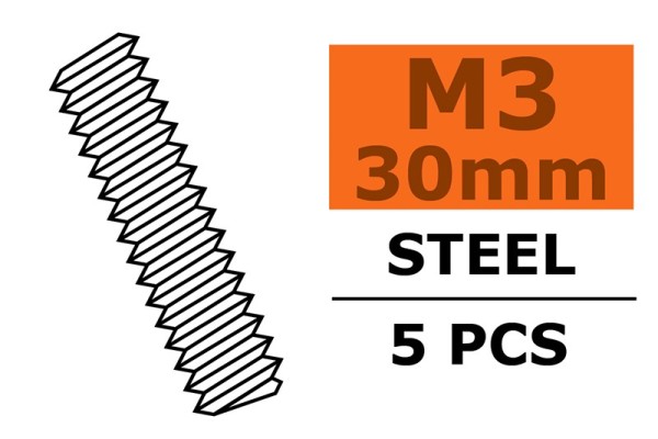 GF0160-002 Gewindestange M3X30 Stahl (5)