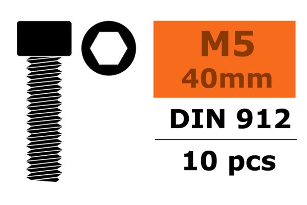 GF0100-041 Zylinderschrauben M5X40 (10)