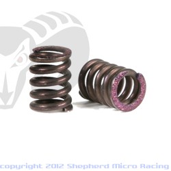 404111 VeloX V10 2-speed springs (2)