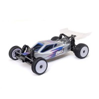 Losi Micro-B 2WD 1/24 Micro Buggy RTR Silber - 100% alles dabei...