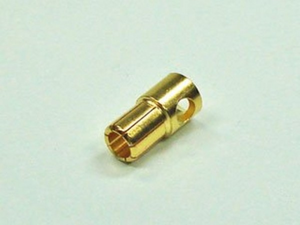 C5641 Pichler Gold Stecker 5.5mm (VE=10St.)