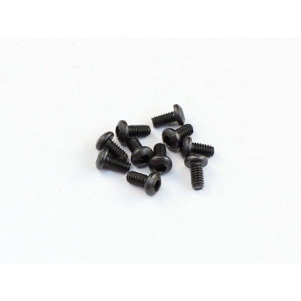 530009 Roche Roundhead Screw M2 x 4mm