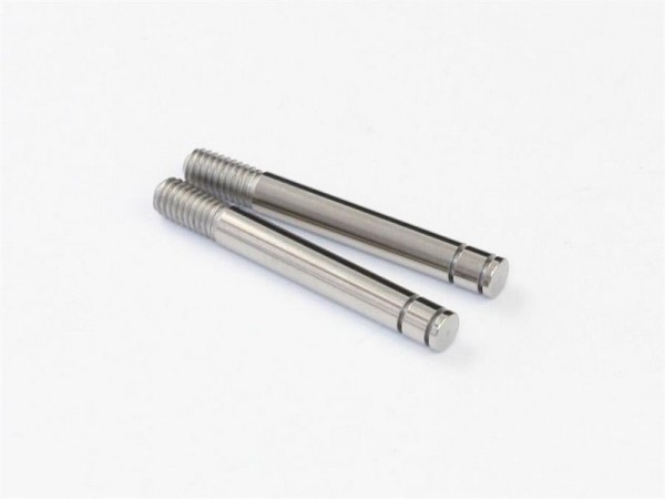 330099 Roche Rapide F1-16 DVS-V2 Dämpfer Shaft 3,0