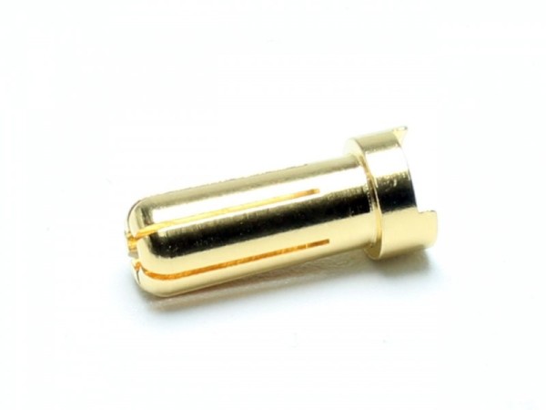 C9346 Pichler Goldstecker flach 5.0 mm (10)