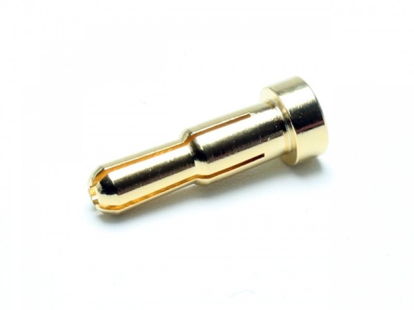 C9348 Pichler Goldstecker 4.0 - 5.0 mm (10)