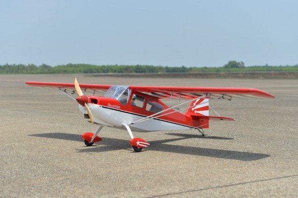 C8054 BlackHorse Bellanca Decathlon / 2450mm