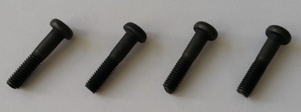 MYC8050 Ming-Yang 3x14mm Screws