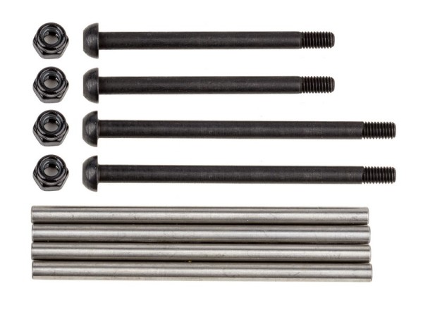 25803 Asso Rival MT10 Hinge Pin Set