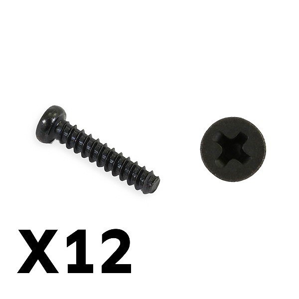 FTX TRACER PAN HEAD SELF TAPPING SCREWS PBHO2.6*12