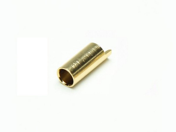 C6889 Pichler Gold Buchse 5.5mm (VE=50St.)