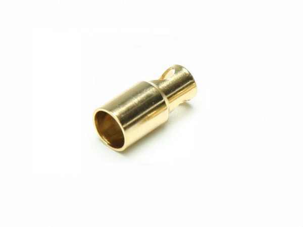 C6545 Pichler Gold Buchse 6.0 mm (VE=50)