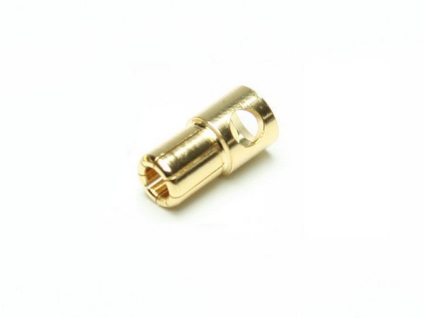 C6546 Pichler Gold Stecker 6.0 mm (VE=50)